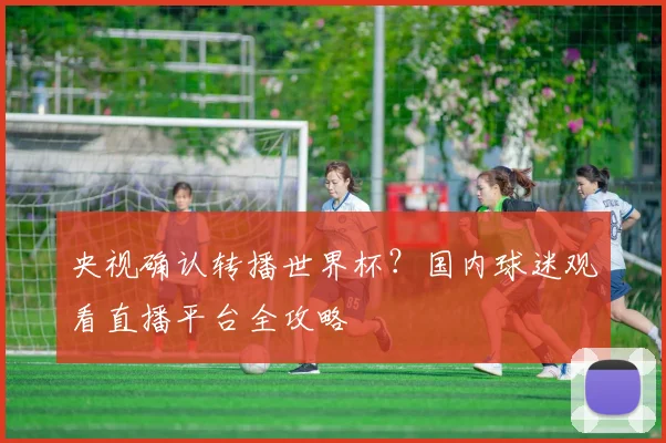 央视确认转播世界杯?国内球迷观看直播平台全攻略