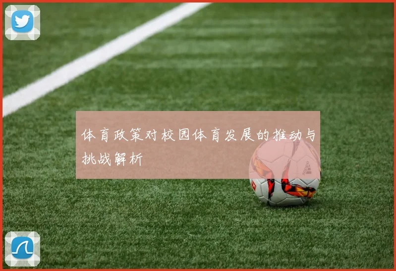 体育政策对校园体育发展的推动与挑战解析